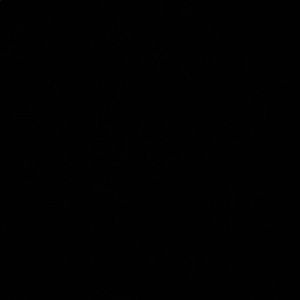 Meet your Posher, Ansley